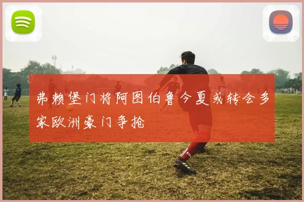 弗赖堡门将阿图伯鲁今夏或转会多家欧洲豪门争抢