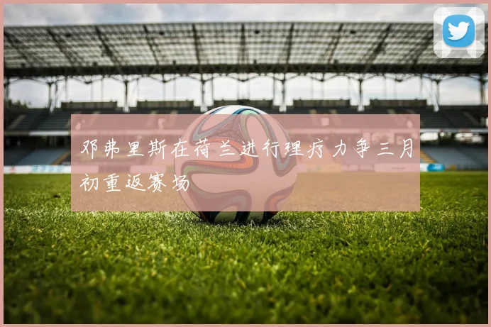 邓弗里斯在荷兰进行理疗力争三月初重返赛场