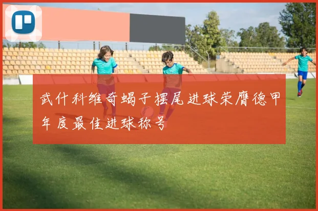 武什科维奇蝎子摆尾进球荣膺德甲年度最佳进球称号
